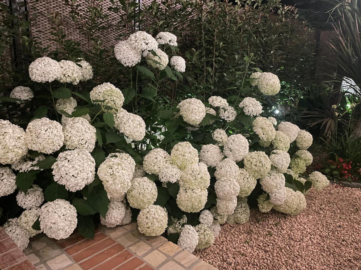 Borgata Cantone Country House B&B 가르렌다 외부 사진