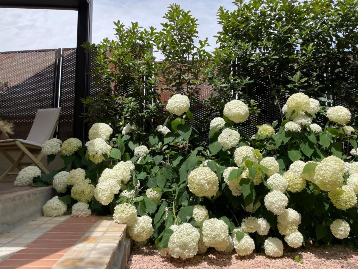 Borgata Cantone Country House B&B 가르렌다 외부 사진